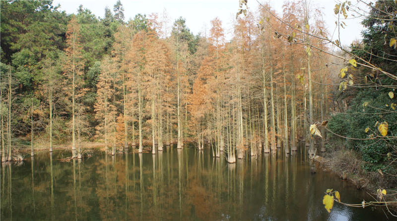 dsc06384.jpg