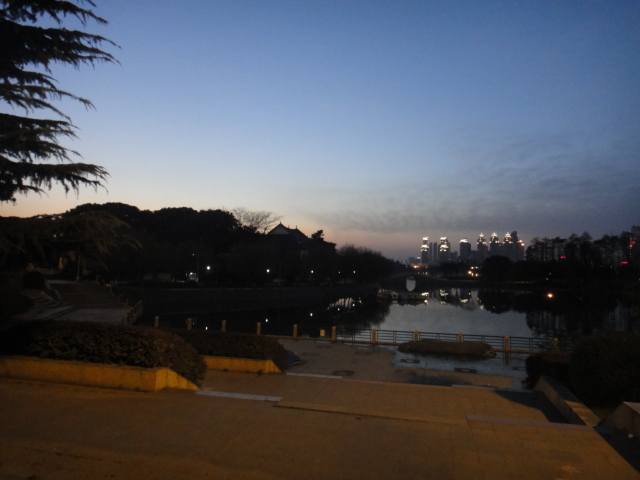 dsc08262.jpg