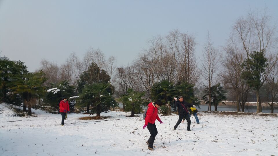 qqͼƬ20160202125207.jpg