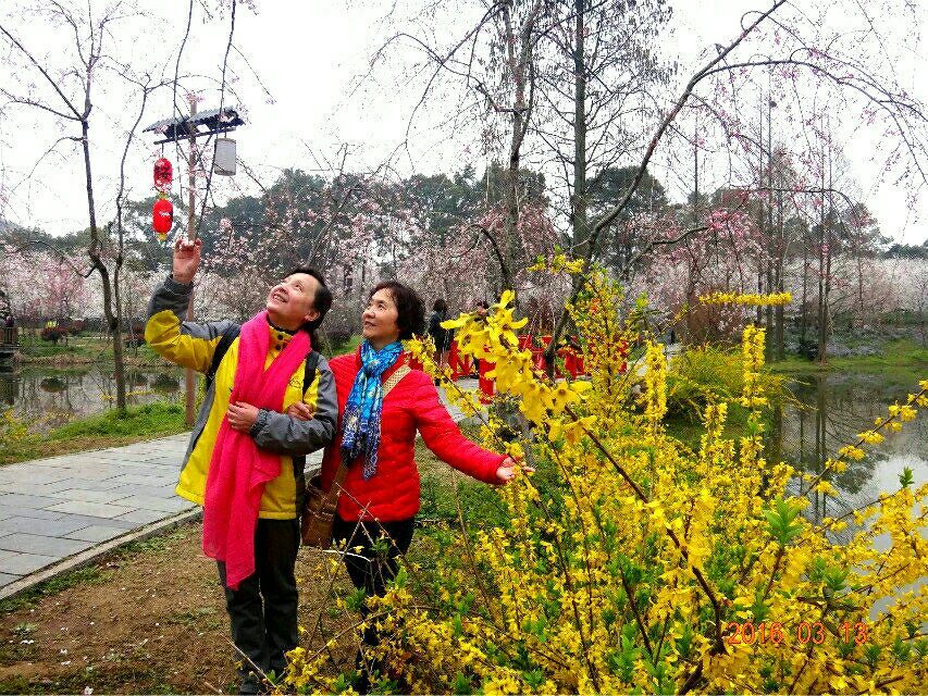 qqͼƬ20160314192104.jpg