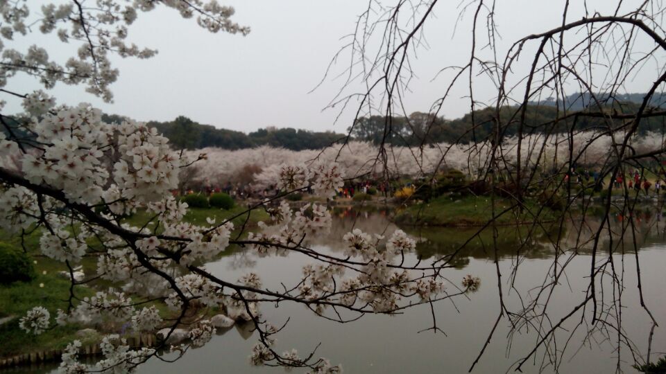 qqͼƬ20160314192126.jpg