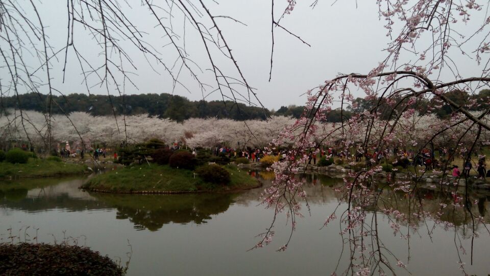 qqͼƬ20160314192136.jpg