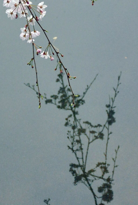 20160317203613_.jpg