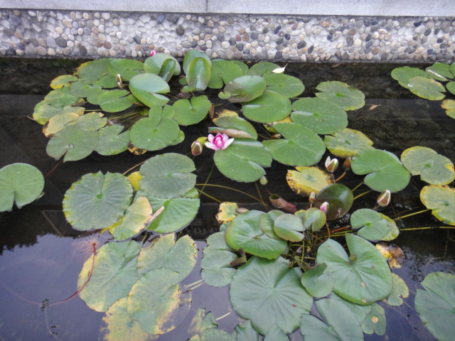 dsc08580.jpg
