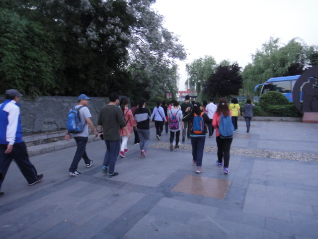 dsc08612.jpg