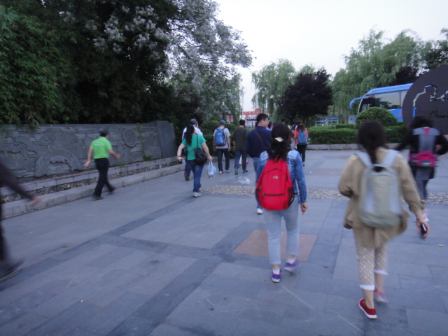 dsc08613.jpg