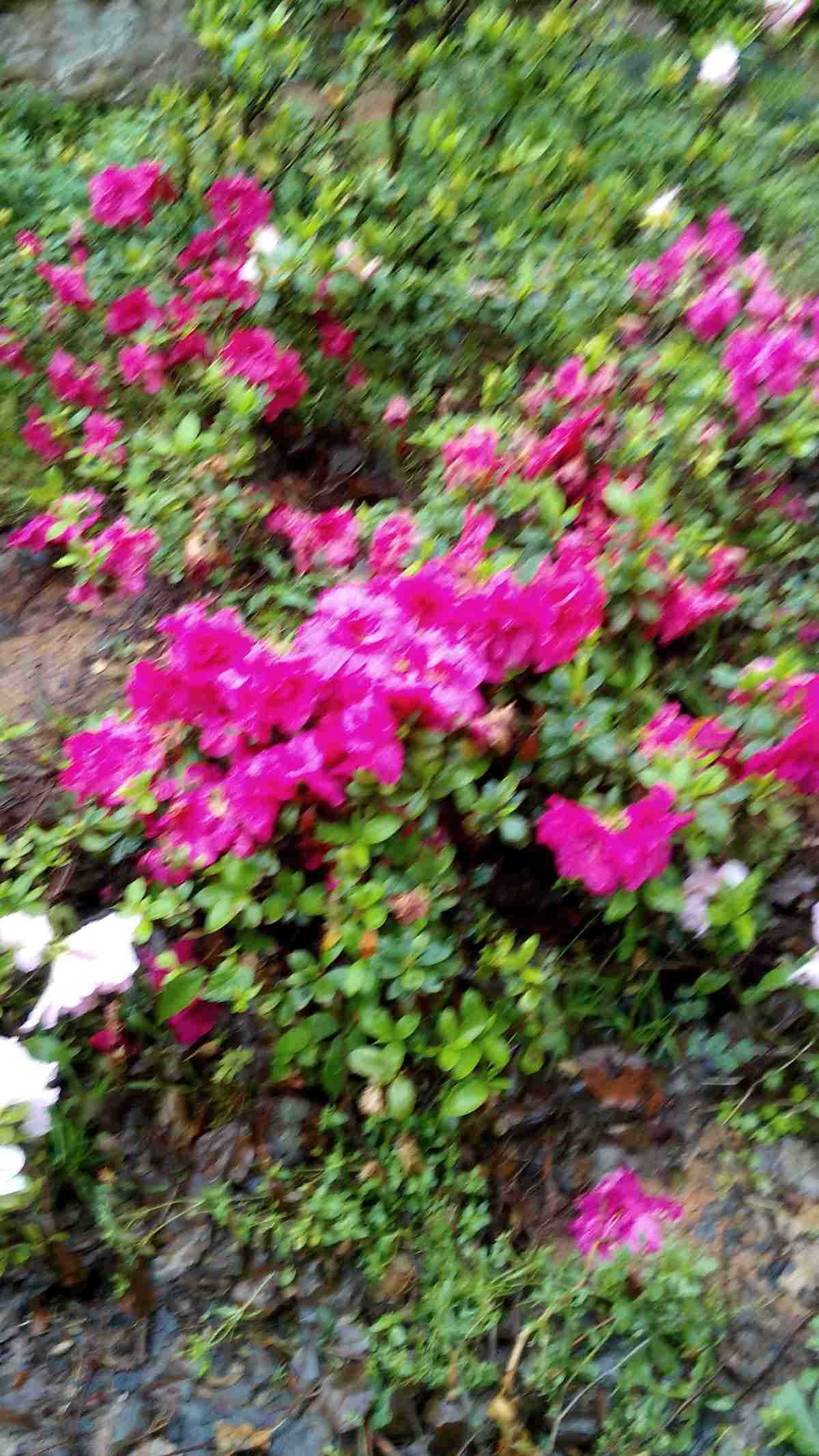 img_20160403_083831.jpg