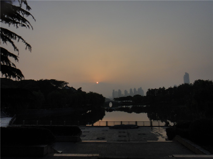 dsc08722.jpg
