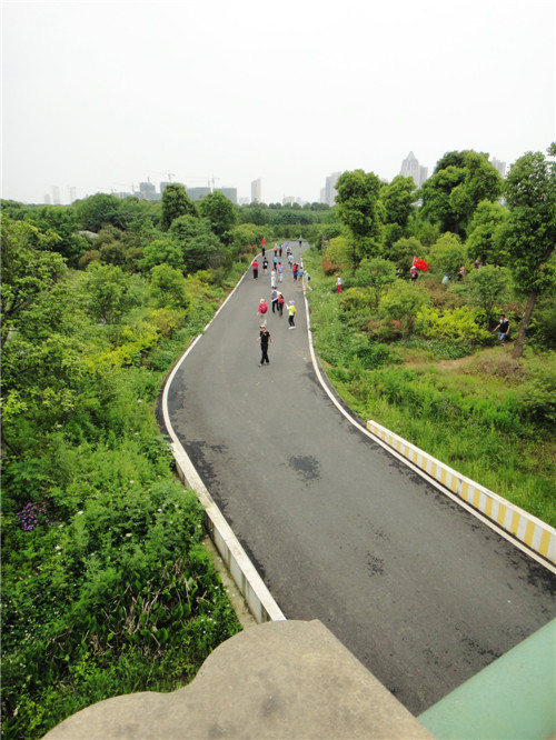dsc08634_.jpg