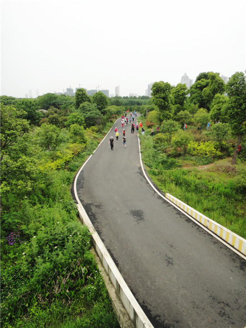 dsc08635_.jpg
