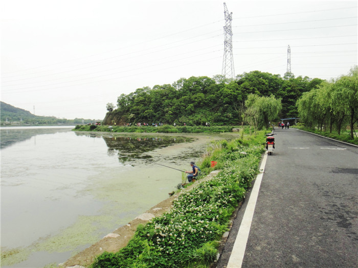dsc08641_.jpg