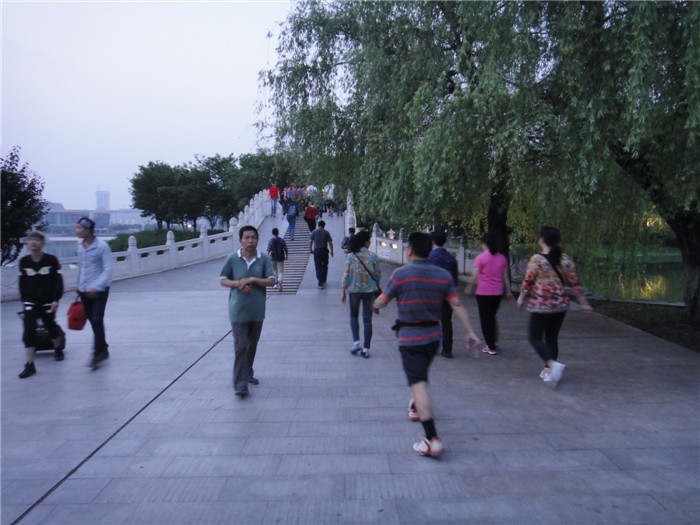 dsc08678.jpg
