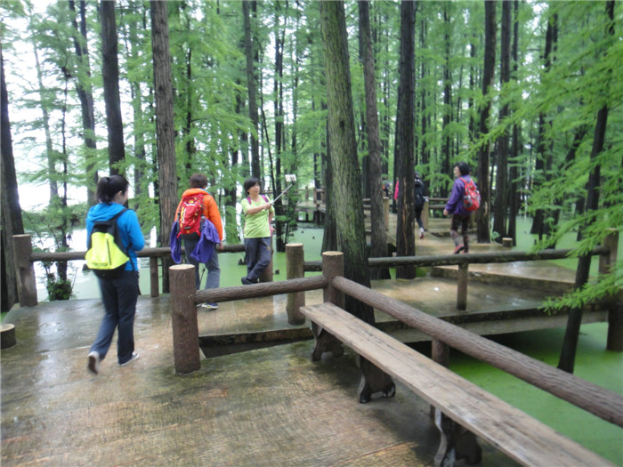 dsc08695_.jpg