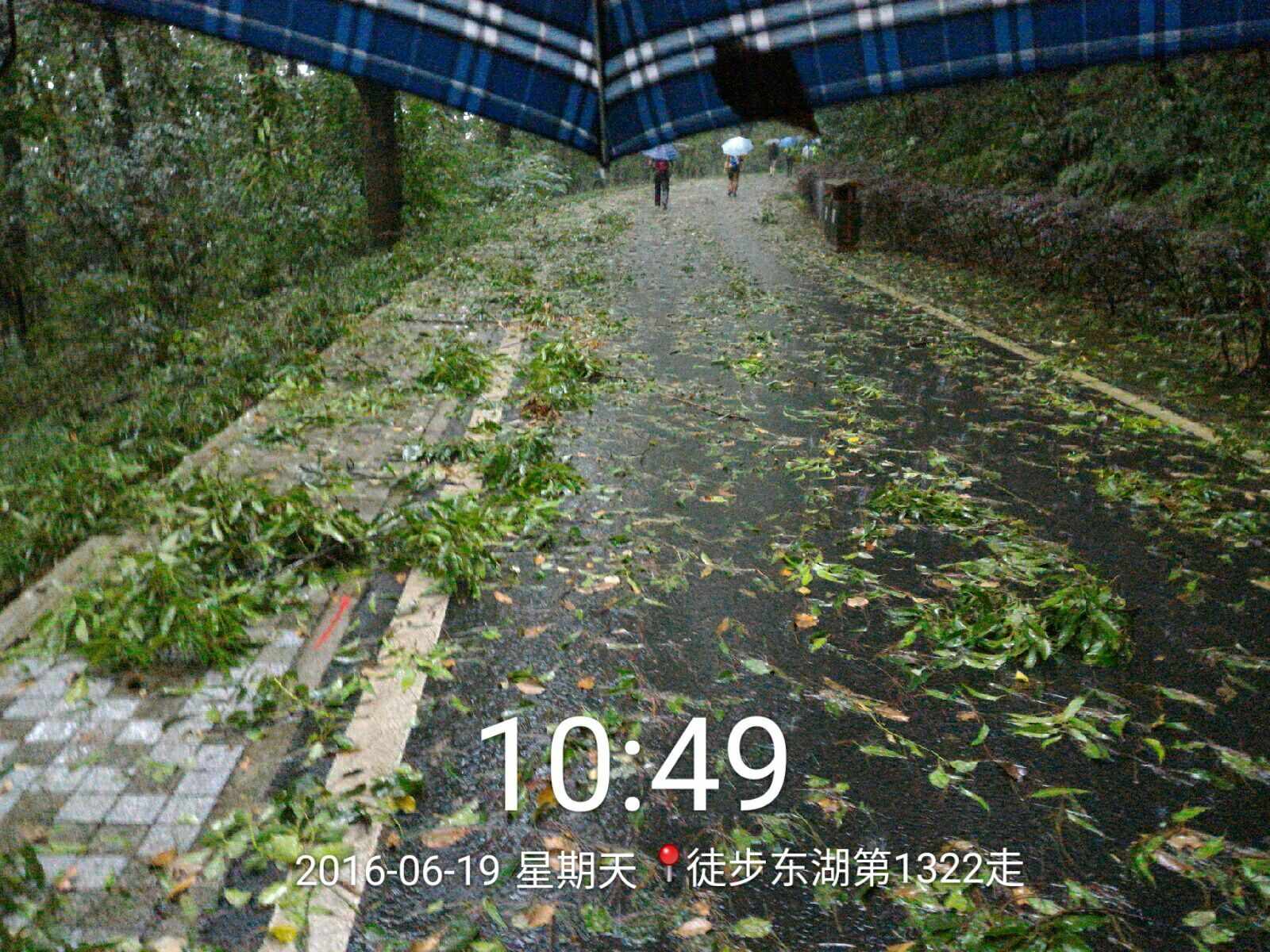 qqͼƬ20160619163550.jpg