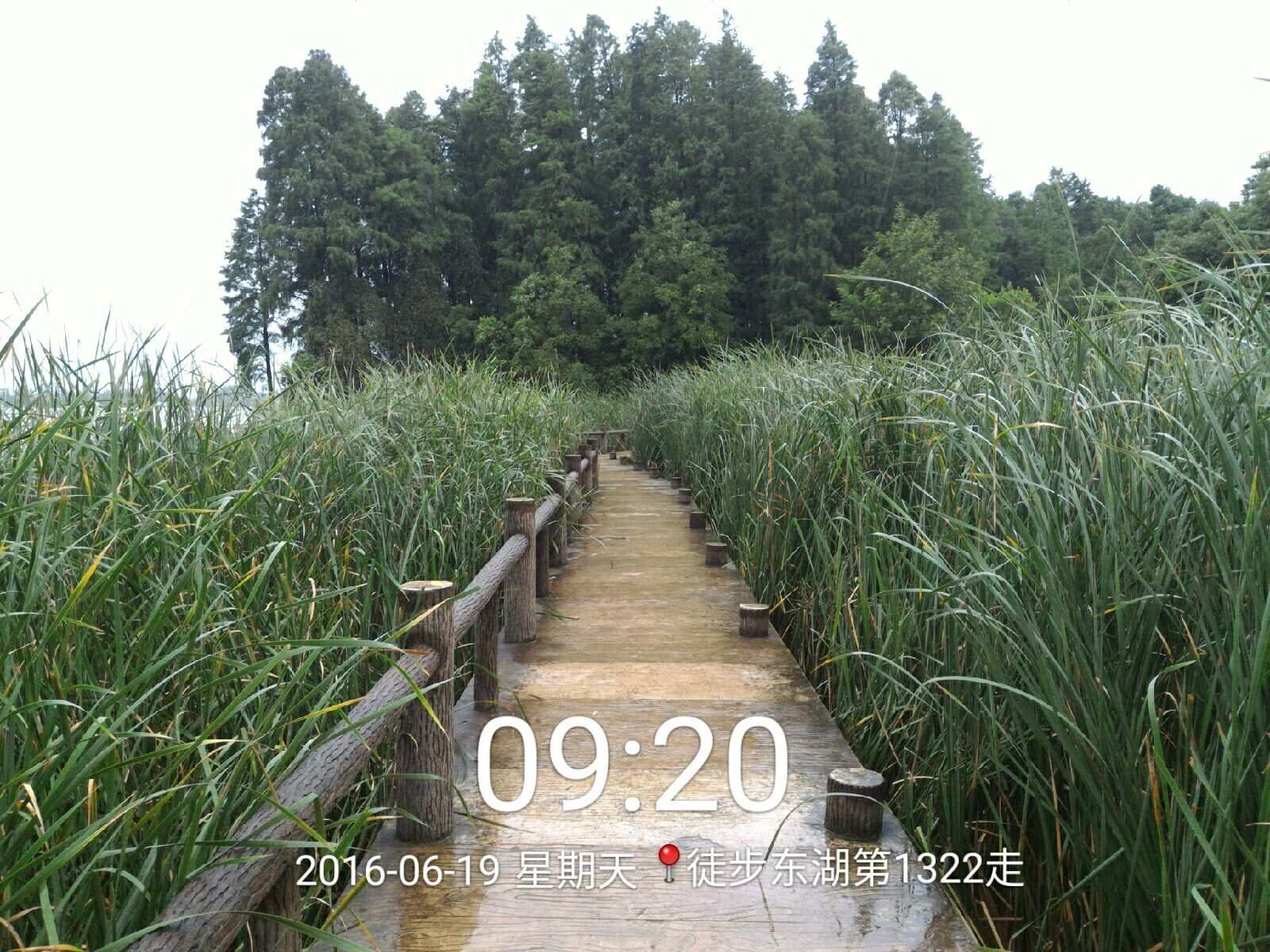 qqͼƬ20160619163234.jpg