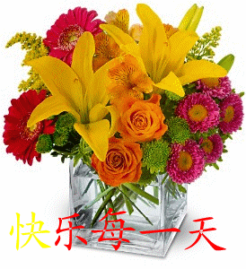 104814pmyrettmxm2l89eo.gif