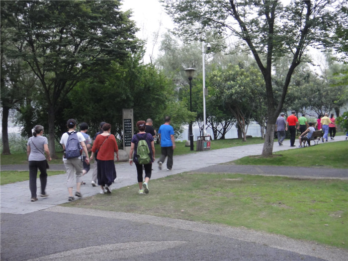 dsc08847.jpg