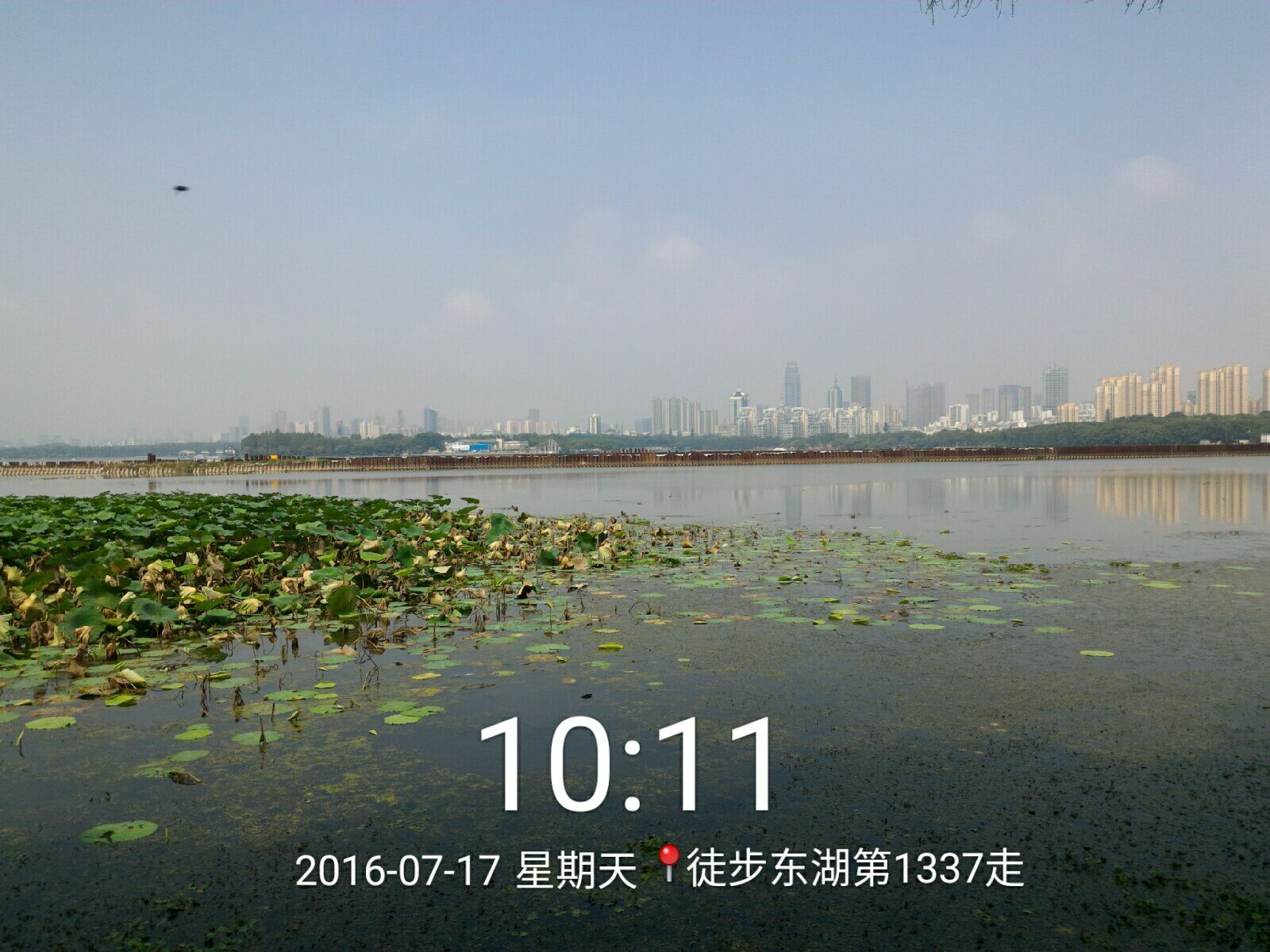 qqͼƬ20160717223517.jpg