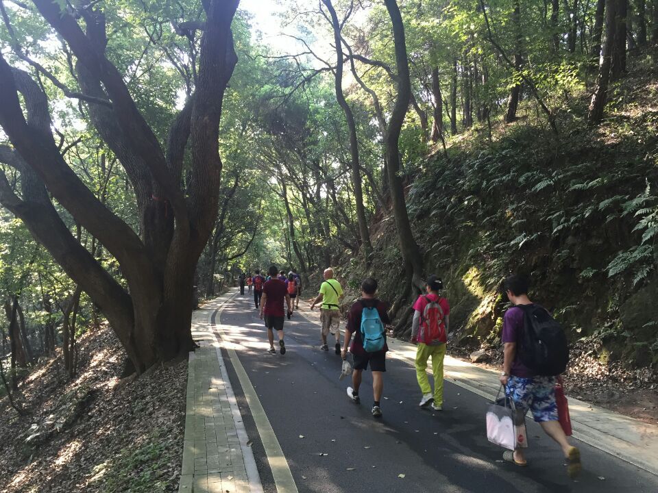 qqͼƬ20160801112658.jpg