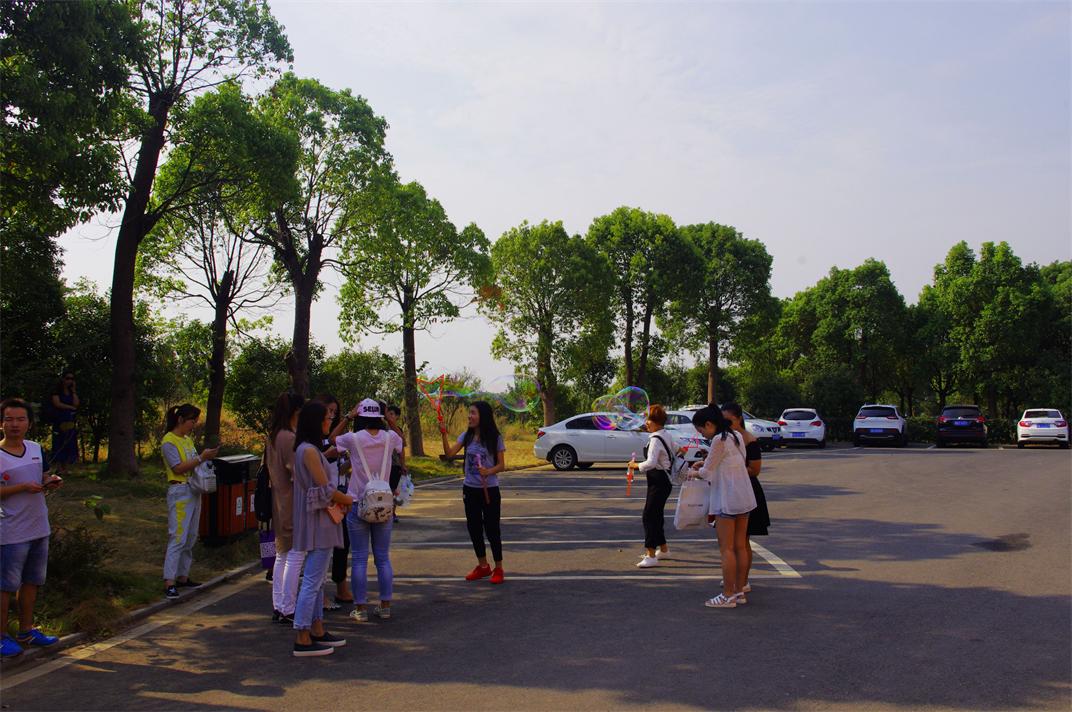 _igp8213.jpg