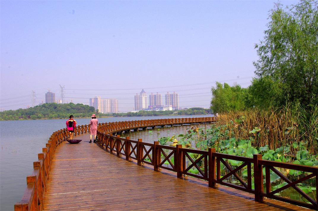 _igp8221.jpg