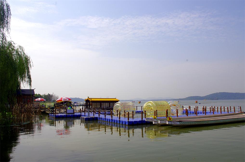 _igp8220.jpg