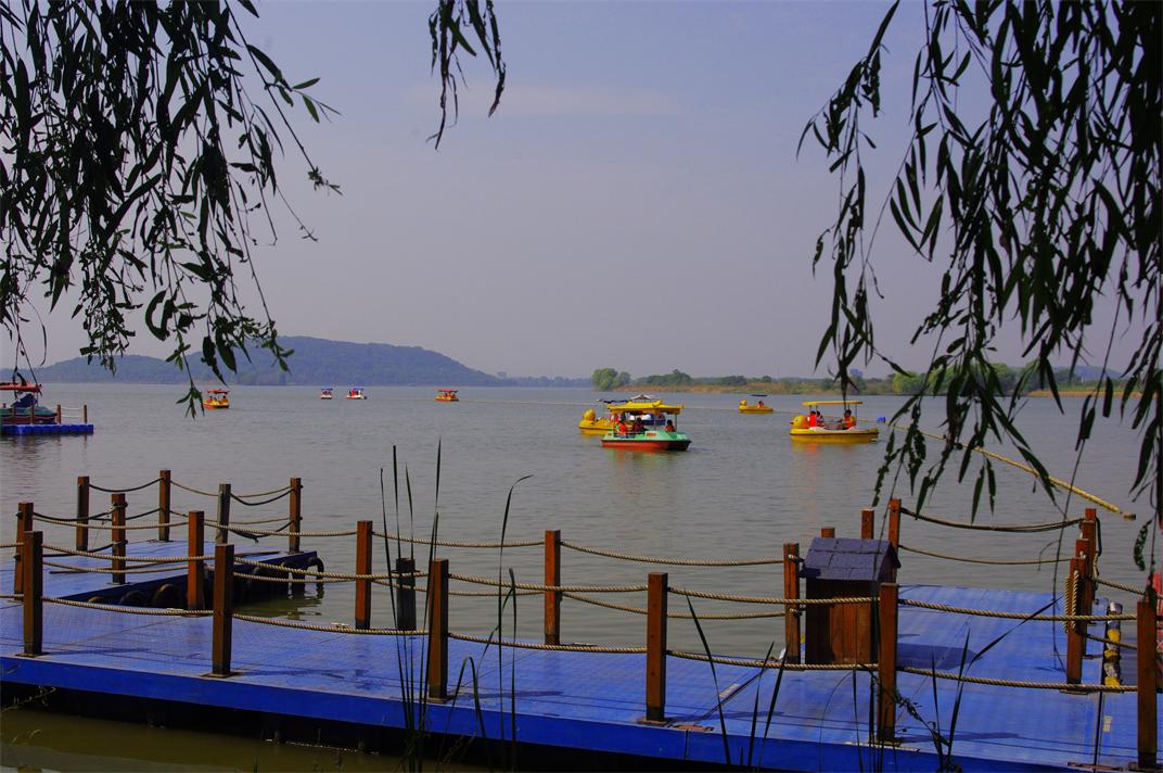 _igp8229.jpg