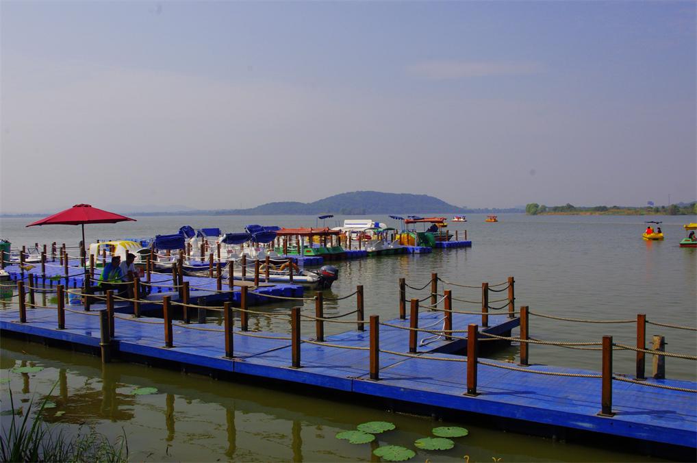 _igp8230.jpg