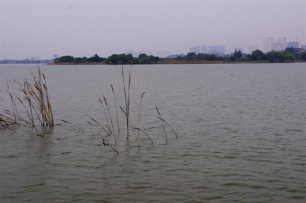 _igp8311.jpg