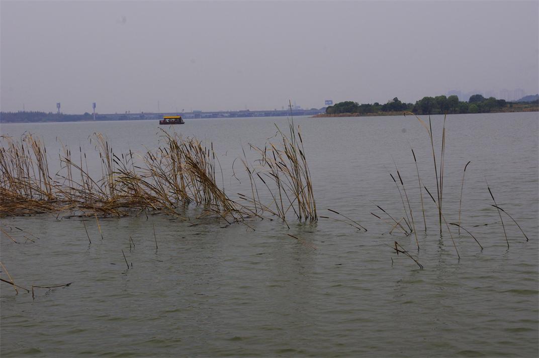 _igp8314.jpg