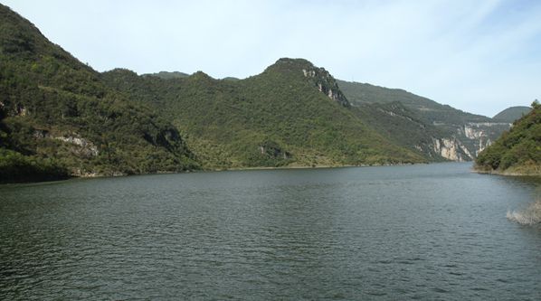 z9.jpg