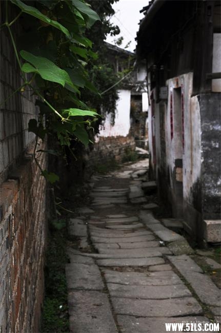 2012112614_e1bfe1473a10a0d367f7Uf1808a6SzSY.jpg