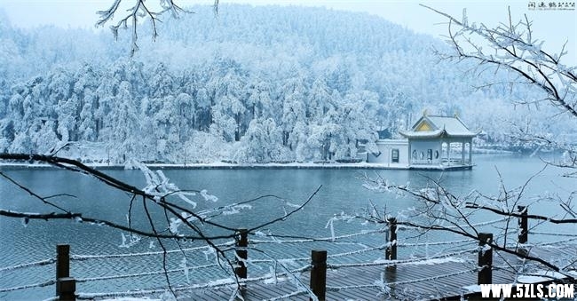 141205kr6yyywzy6orjy6z.jpg