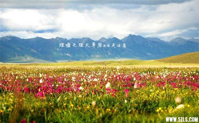 ë����ԭ_meitu_26.jpg