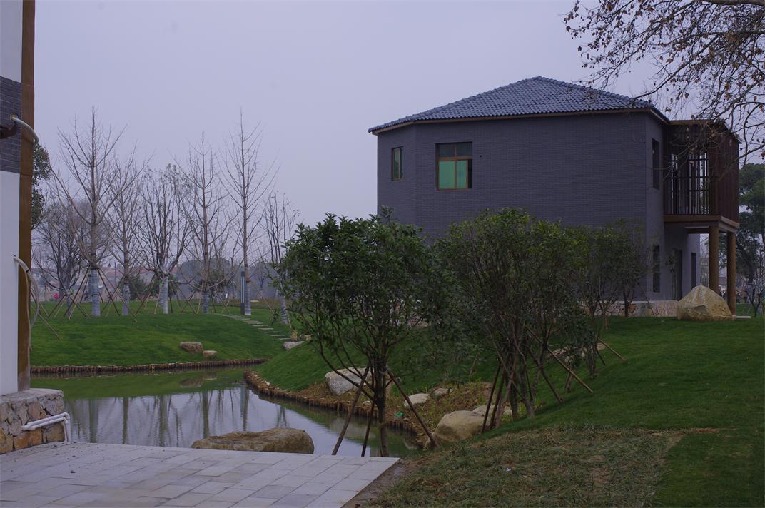 _igp9558.jpg