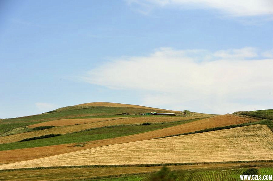 _DSC1783__.jpg