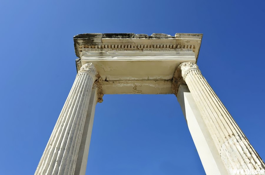 _DSC3145__.jpg