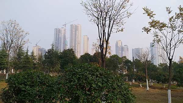 img_20191214_142035_.jpg