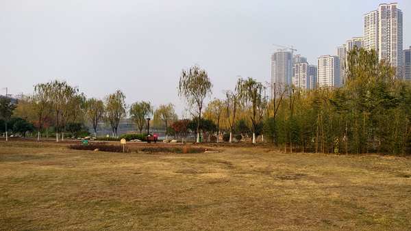 img_20191214_152004_.jpg