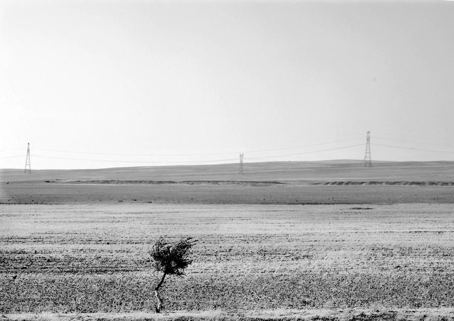 _DSC5178__.jpg