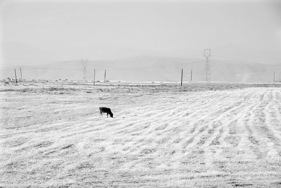 _DSC5180__.jpg