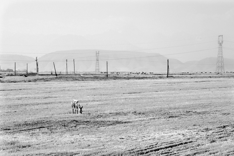 _DSC5181__.jpg