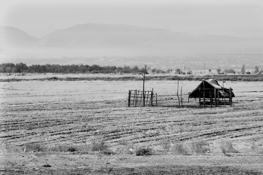 _DSC5184__.jpg