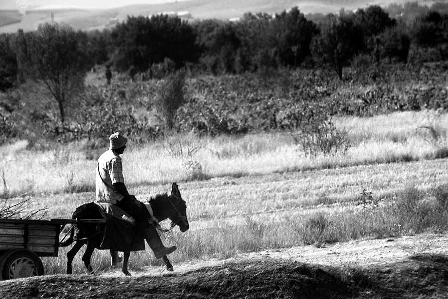 _DSC5193__.jpg