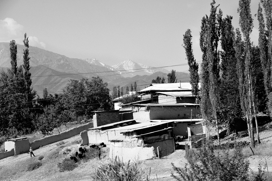 _DSC5212__.jpg