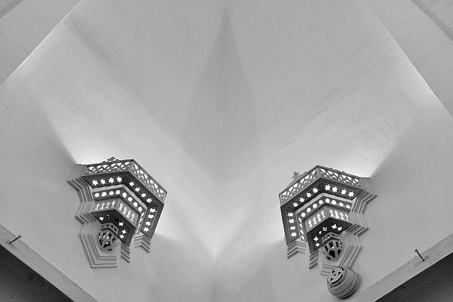 _DSC5019__.jpg
