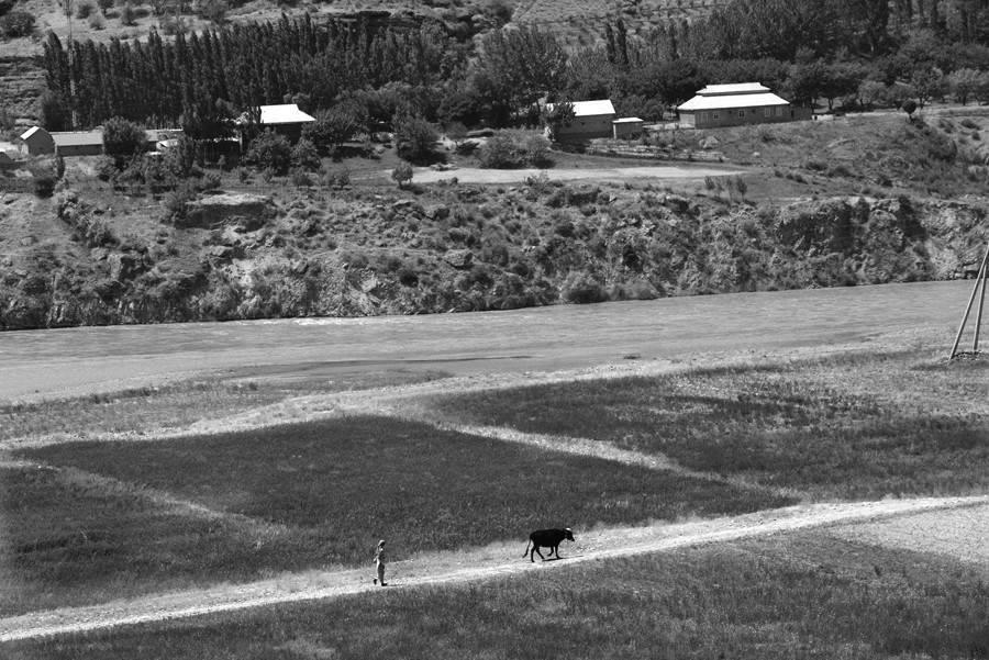 _DSC5445__.jpg