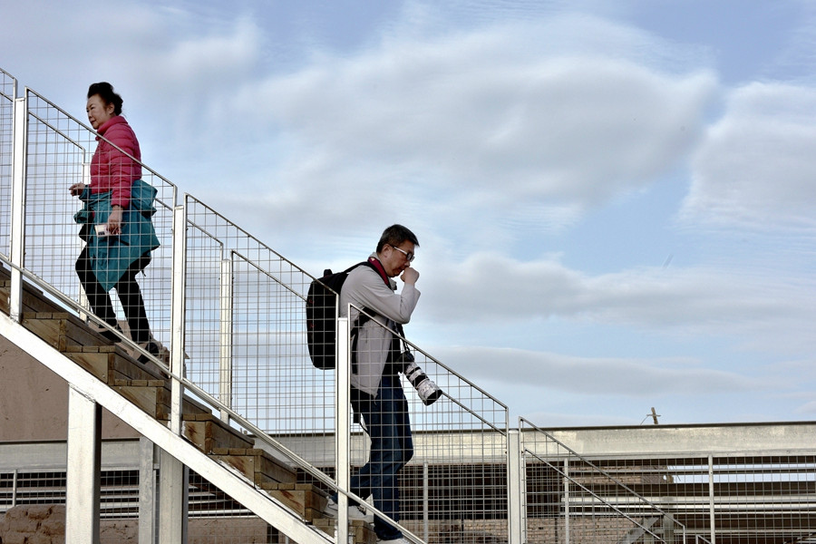 _DSC0523__.jpg