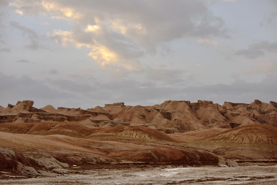 _DSC9536__.jpg