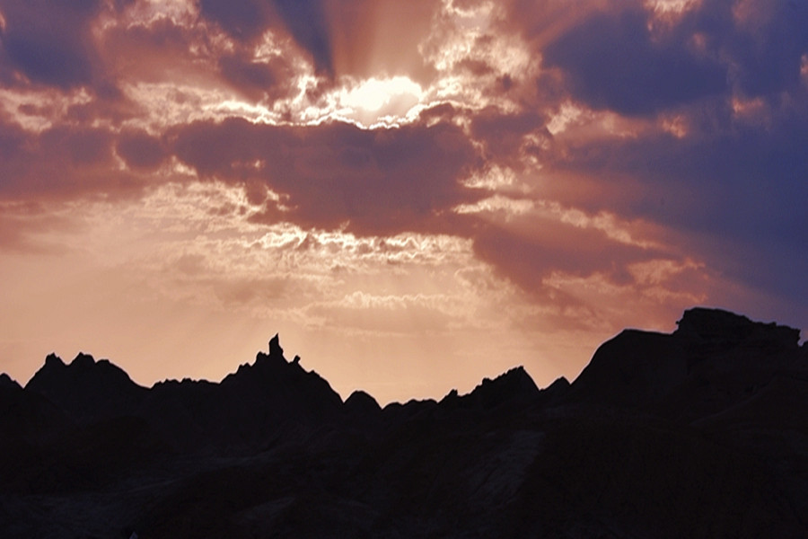 _DSC9539__.jpg